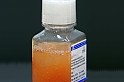 BioInd-1.jpg